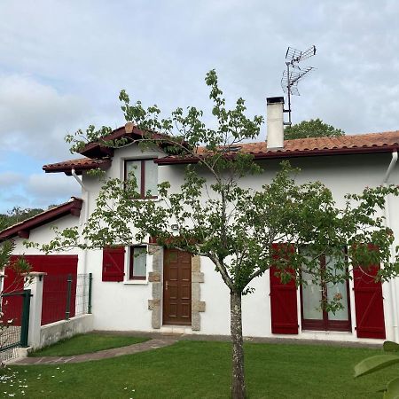 Maison à 10 min des plages de St Jean de Luz Saint-Pée-sur-Nivelle Esterno foto